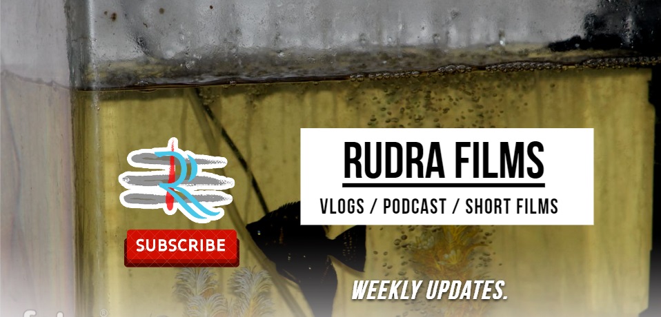 Rudra Films